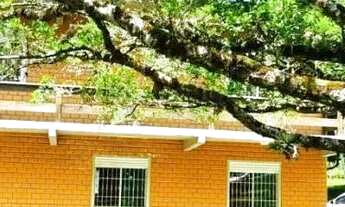 Imagem 7: Sítio / Chácara para Venda em Picada Café, Morro Bock