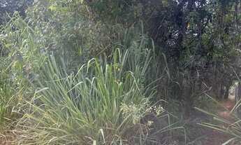 Imagem 3: Imóvel para venda com 20000 metros quadrados em Lago Sul - Brasília - DF