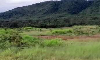 Imagem 2: Vendo 2 propriedades de 17ha cada (34ha lado a lado) em Buritis-MG