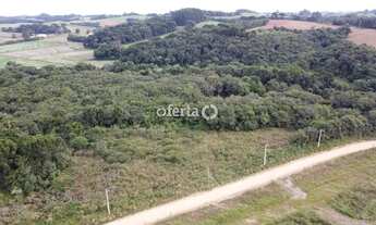 Imagem 4: Chácara em Araucária / Camundá