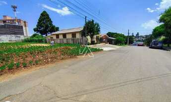 Imagem 4: TERRENO PLANO - RUA ASFALTADA - BAIRRO SÃO LUIZ GONZAGA - A VENDA - PASSO FUNDO RS