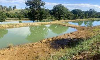 Imagem: Ótima chácara em Taquaral go