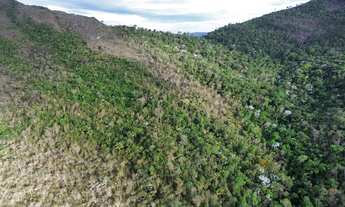 Imagem 5: Excelente gleba BARATO . 1408 há para compensação AMBIENTAL, preservação ou ecoturismo