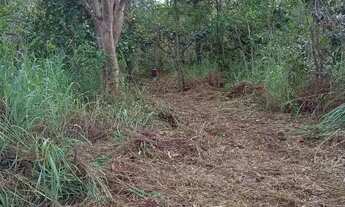 Imagem 5: Chácara no Núcleo Rural Vale Verde com 3 hectares, apenas 200 metros do asfalto