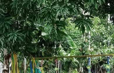 Imagem 4: Aluguel -mensal/2.000