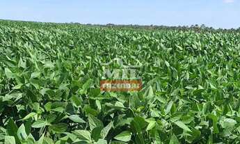 Imagem 2: Fazenda 33 alqueires (158,4 hectares) Parauna - Go