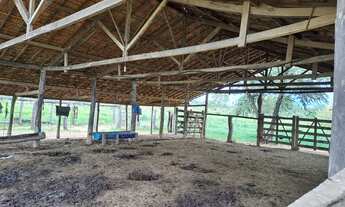 Imagem 5: Ótima fazenda de 302 hectares, dupla aptidão, terras de cultura margeada por ribeirão - Ri