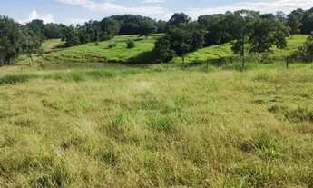 Imagem 3: Chácara à Venda com 11 Alqueires | Dupla Aptidão