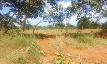 Imagem 3: Lindas Fazendinhas Com 20.000m2, Topografia Plana com Financiamento Próprio em Paraopeba M