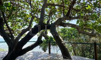 Imagem 3: Linda propriedade pé na areia, maravilhosa vista, Japaratinga AL !