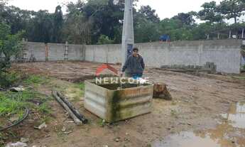 Imagem 4: Lote em Rua D - Folha Seca - Ubatuba/SP