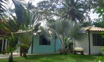 Imagem: Aluguel carnaval