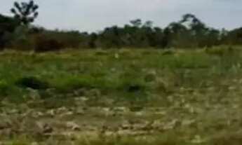 Imagem: Lotes para Airbnb no interior de SP