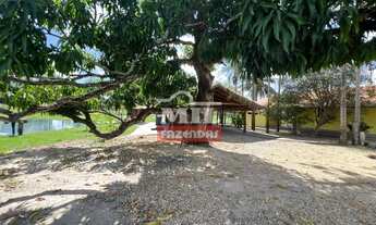 Imagem 4: Chácara 5,12 Alqueire (24,78 hectares) Mairipotaba - Go