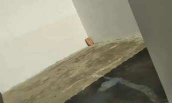 Imagem 5: Casa Padrão para alugar no Parque Industrial em São Carlos