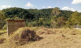 Imagem 5: Chácara no Samambaia 1000mts