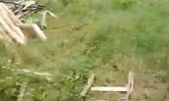 Imagem 5: Lote à venda em rua pública, SÃO JOSÉ DOS NÁUFRAGOS, Aracaju, SE