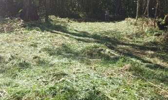 Imagem 5: Sitio taiacupeba com 20mil m2 escritura ok