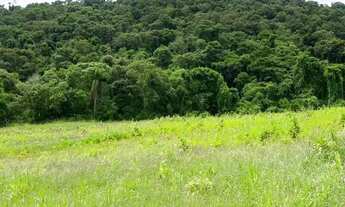 Imagem 6: Lotes em Ibiúna - SP