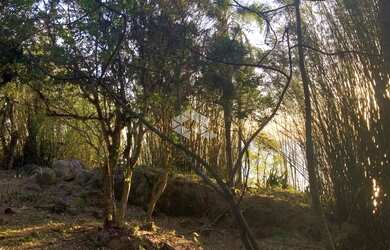 Imagem 2: TERRENO NO BAIRRO DANIELA, EM FLORIANÓPOLIS, SC, MEDINDO 1,485M² DE ÁREA TOTAL