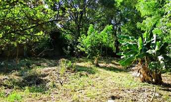 Imagem 4: Chácara com 3 Casas à Venda - A Oportunidade Perfeita Para Seu Novo Lar!