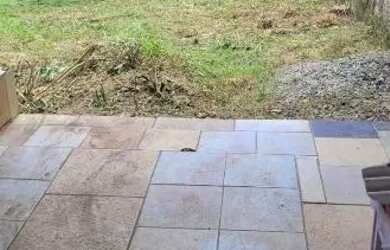 Imagem 4: Terreno no Arruda colombo ótima localização