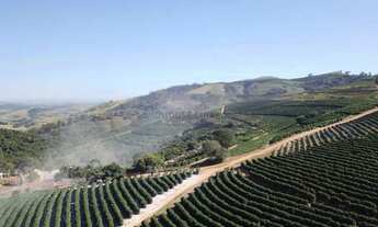 Imagem 4: Fazenda de café produtiva de 166,66 alqueres (399,984 hectares) no Município de