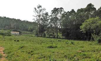 Imagem 4: área - Santo Antonio - Louveira