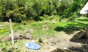 Imagem 5: Chácara com tanque