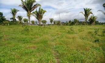 Imagem 6: Vende-se Sitio-Fazenda em Itaituba - comunidade Monte Moriáh