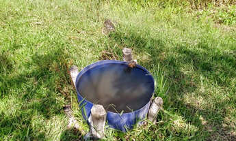 Imagem 2: Terreno com 3 hectares cod 11