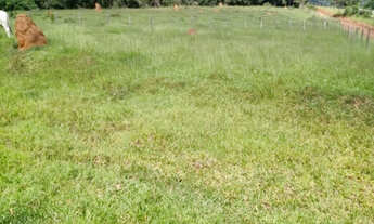 Imagem 5: Terreno com 3 hectares cod 11