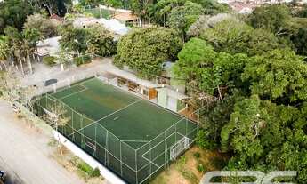 Imagem 4: Chacará | Joinville