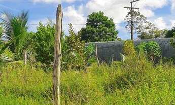 Imagem 2: Lote a venda no parque das mangabas