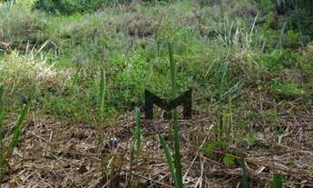Imagem 4: Terreno residencial e comercial em Piratininga na entrada de Camboinhas
