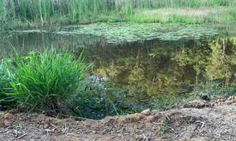 Imagem 5: Terreno 30.028,89 m2, Salesopolis Estância Turistica