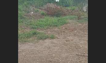 Imagem 3: Sitio Chácara com venda por R$150.000