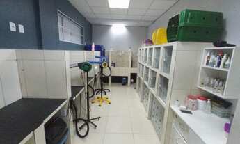 Imagem 2: Banho e tosa - ponto comercial