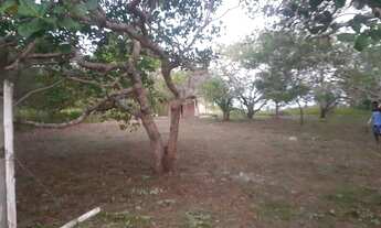 Imagem 4: Terreno próximo a Barragem Santa Helena (Dias D'Ávila