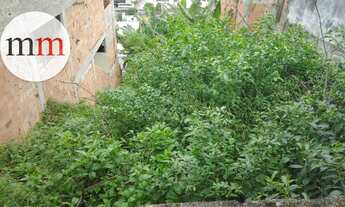 Imagem 4: Excelente terreno!