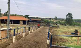 Imagem 3: Sítio com 2 dormitórios à venda, 147000 m² por R$ 3.450.000,00 - Zona Rural - Cajuru/SP