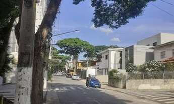 Imagem 2: GALPÃO - NOVA PETRÓPOLIS - SP