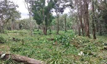 Imagem: 21 Terrenos 1000m² em Ibiúna-SP - Campo