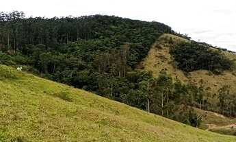 Imagem 3: Sitio em Antônio Carlos