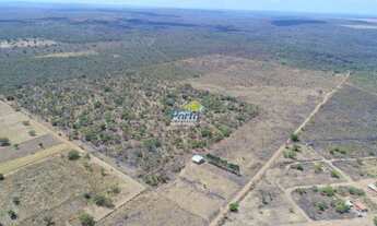 Imagem 4: Fazenda para Venda Rural , Uruçuí