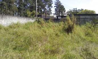 Imagem 4: Terreno para locação, Vila Amorim, Suzano