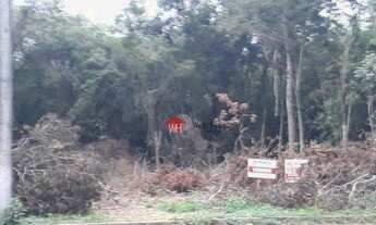 Imagem 4: Terreno à venda, 375 m² por R$ 149.000 - Campina - São Leopoldo/RS