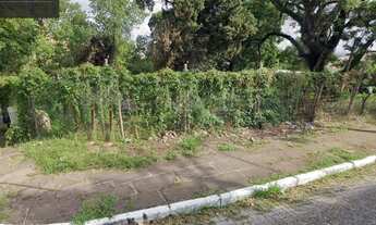 Imagem 7: Terreno para Venda - 0m², 0 dormitórios, Jardim Floresta