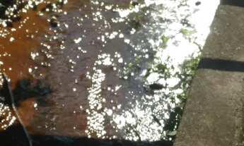 Imagem 6: Lindas fazendinhas com 20.000 m². Município de Cordisburgo