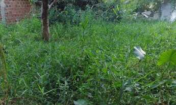 Imagem: Terreno no Janga